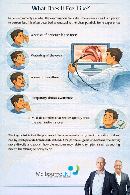 Endoscopic-Airway-Assessment-–-How-ENT-Surgeons-Diagnose-Snoring-Infographic1